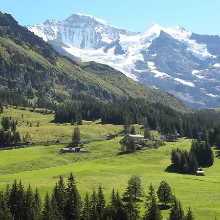 Apartment With Great View At Residence Brunner Wengen Exterior photo