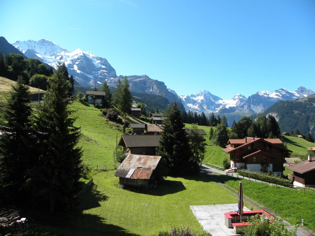 With Great View At Brunner Wengen