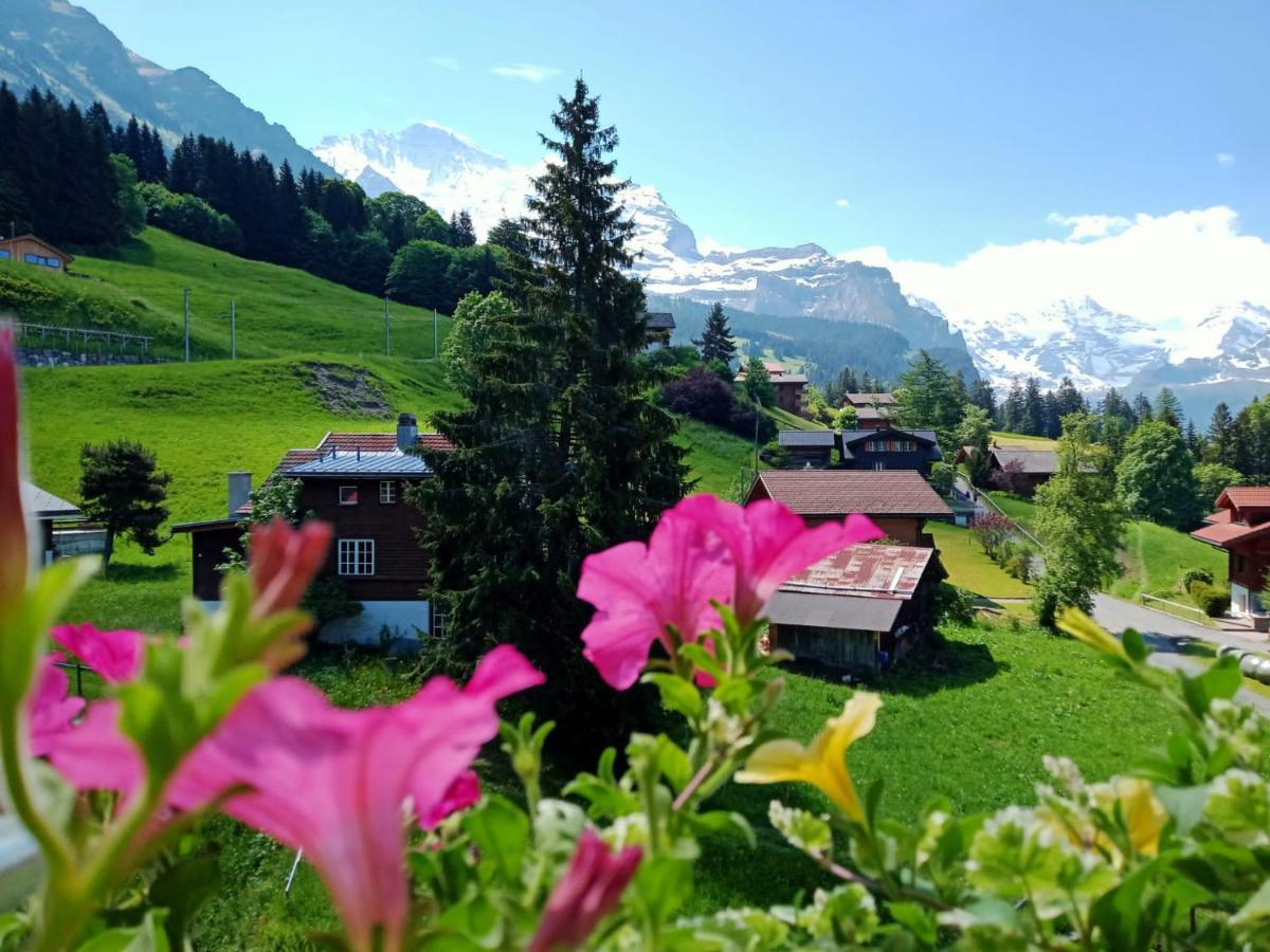 With Great View At Brunner