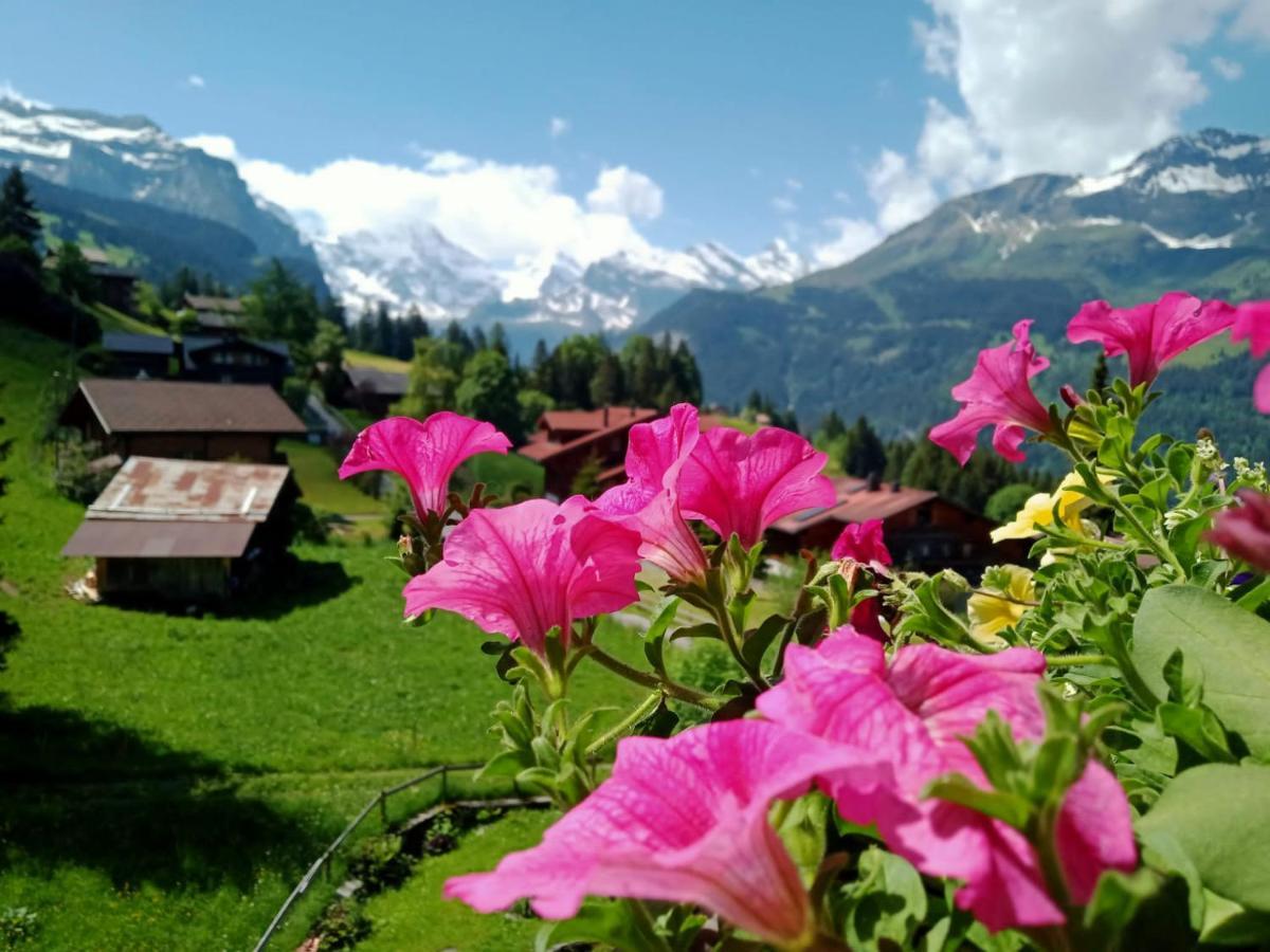 Apartment With Great View At Brunner